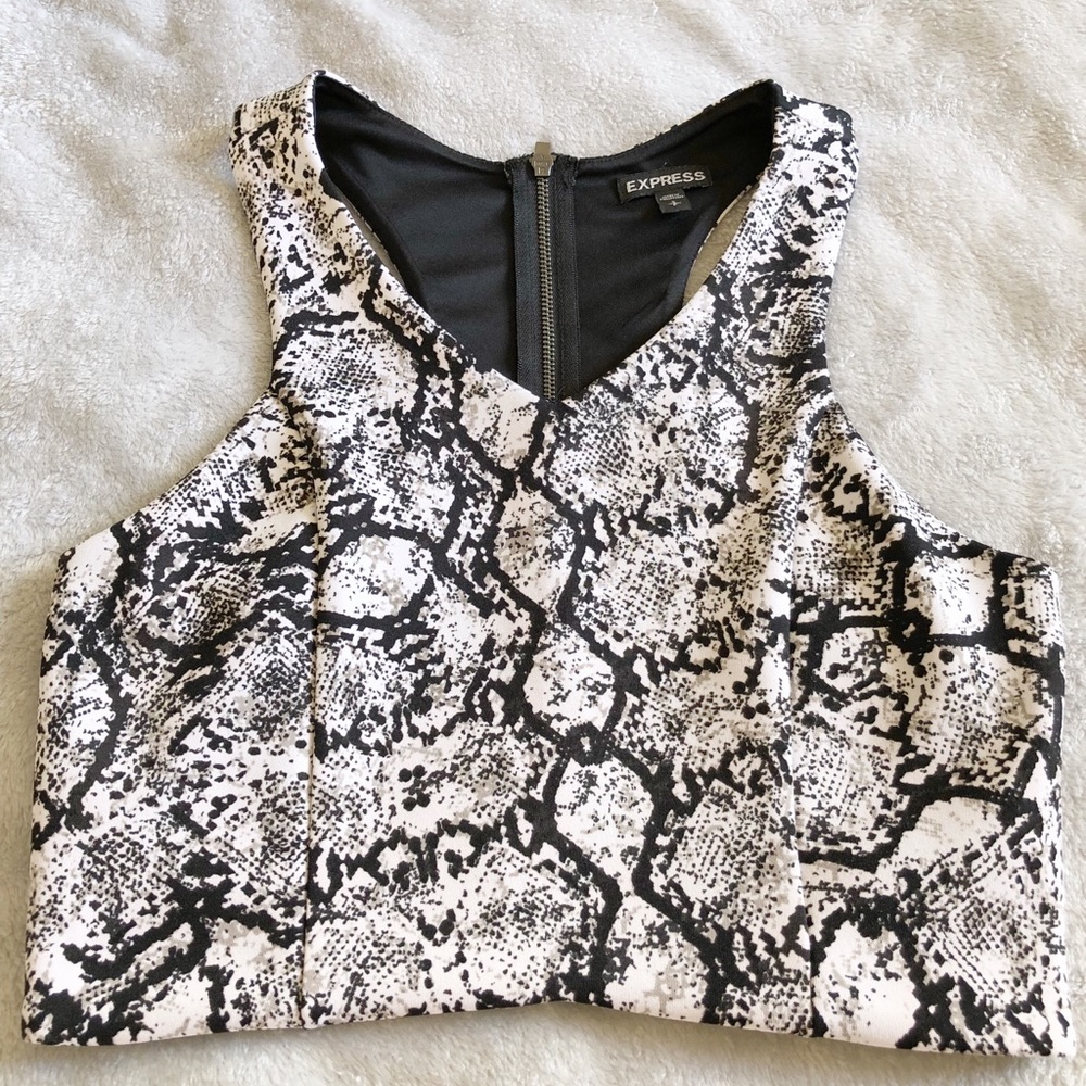 Express Snakeskin Crop Top - Size Small